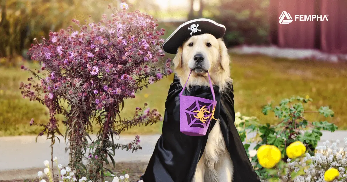 imagen Halloween Mascotas